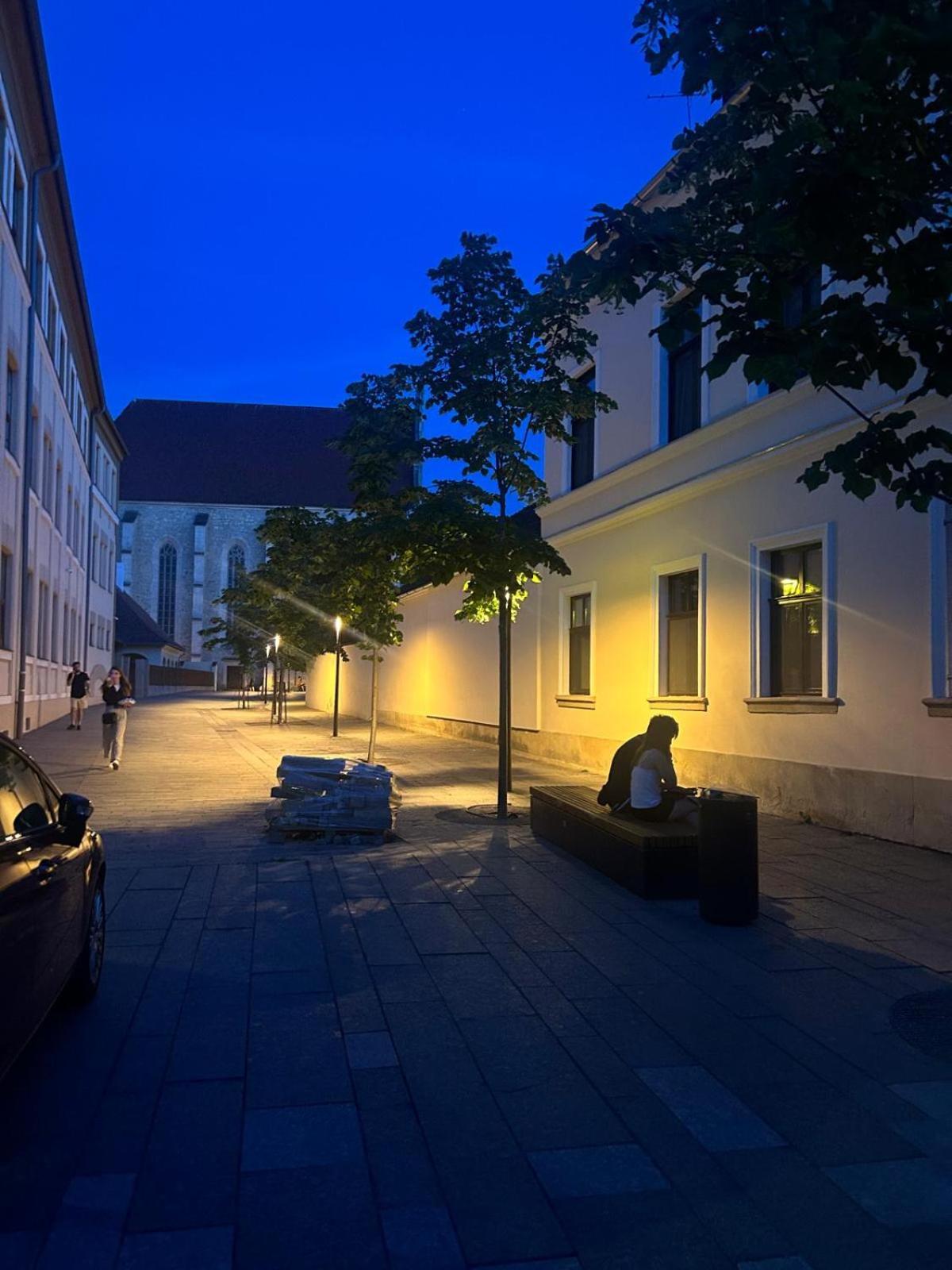 Strada Ion I. C. Bratianu Nr.24 Lejlighed Cluj-Napoca Eksteriør billede
